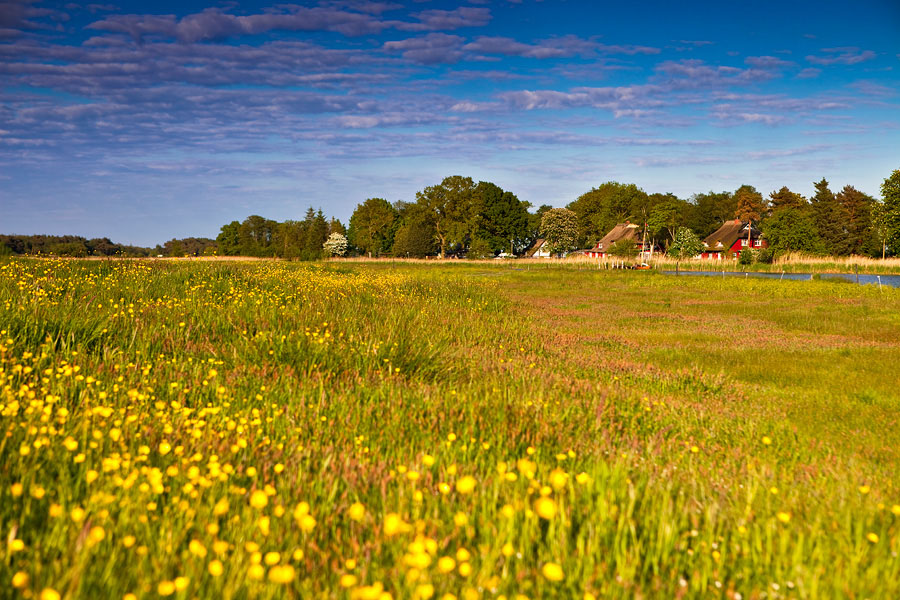 Bodden & Diverses