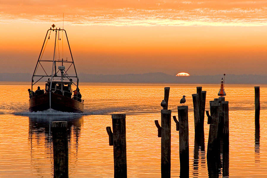 images/gallery/2-Mecklenburg-Vorpommern/8-Diverses/Best of 2008 (40).jpg