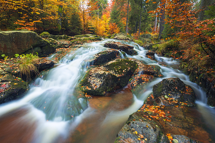 Harz